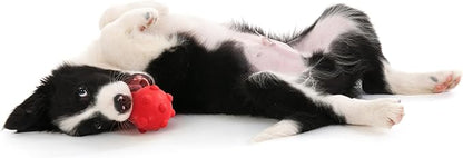 Playology Dog Toys | Puppy Toy Teething Ball Designed for Young & Active Dogs | Medium Beef Scented Toy Made from Non Toxic Materials
