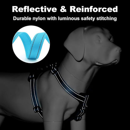 Plutus Pet Adjustable No Pull Dog Harness with Leather Accents, Heavy Duty Reflective Nylon Vest for Training, Hiking, Easy Walk Harness for Small, Medium, Large Dogs (Light Blue, L)