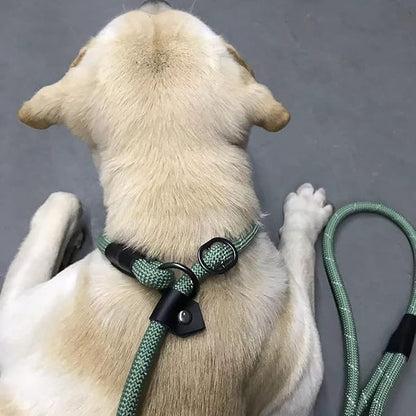 Reflective Slip Leads for Dogs 6FT, Slip Lead Dog Leash, Slip On Training Leash