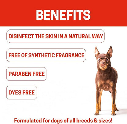 Green Coat Natural Dog Shampoo for Hot Spots And Sores | Soothing Relief for Irritated Or Itchy Skin | Made In The USA With Organic and Natural Ingredients | Made with essential oils | 16fl oz 473 ml.