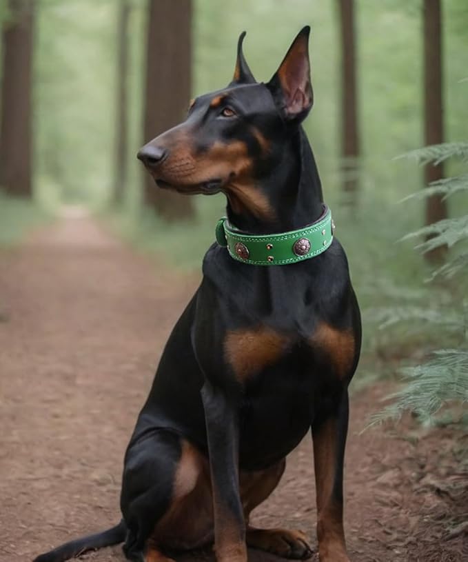 Leather Dog Collar, 2 inches Wide Heavy Duty Genuine Leather Collars, Handmade, Soft, and Luxury, Eye-catching Best Choice for Large and Medium Breed Dogs, Green,15-19 ins