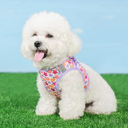 Step in Dog Harness and Leash Set, Flower Adjustable Easy Walk Puppy Harnesses, Soft Mesh No Pull Pet Vest Harness for Small Medium Dogs(Flower, S)