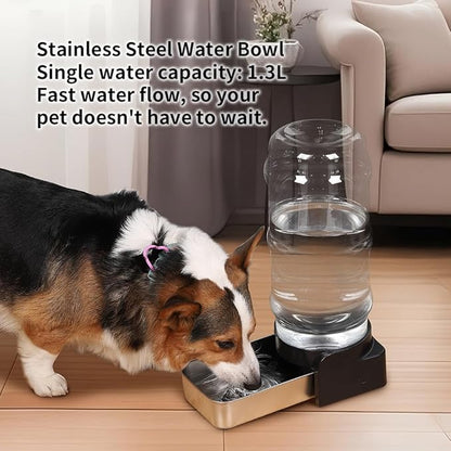 PAKEWAY 1 Gallon Automatic Gravity Dog Water Bowl Dispenser, Stainless Steel Large Capacity Pet Waterer with 3 Filters for Small to Medium Dogs and Cats