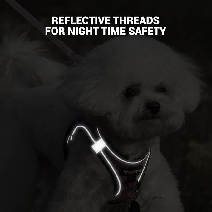 Dog Harness and Leash Set, Dog Harness for Dogs No Pull, No-Chock Step-in Reflective Breathable Lightweight Easy Walk Vest Harnesses with Safety Buckle for Small Medium Dogs, Cats (Light Purple, XXS)