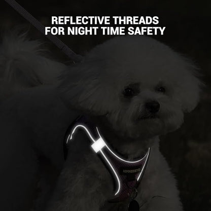Dog Harness and Leash Set, Dog Harness for Dogs No Pull, No-Chock Step-in Reflective Breathable Lightweight Easy Walk Vest Harnesses with Safety Buckle for Small Medium Dogs, Cats (Light Purple, XXS)