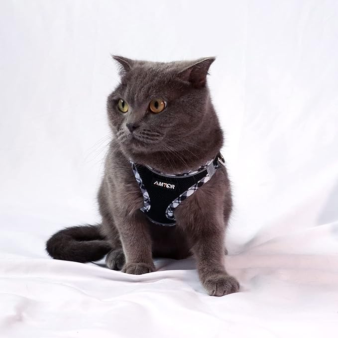 AMTOR Dog Harness with Leash Set,No Pull Adjustable Reflective Step-in Puppy Harness with Padded Vest for Extra-Small/Small Medium Large Dogs and Cats(XXXS, Blackwhite)