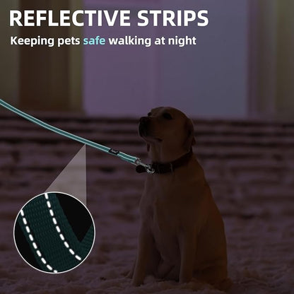 PUPTECK Reflective Dog Leash with Comfortable Padded Handle Durable Nylon Dog Lead for Small Medium and Large Dogs Cats Walking Running Training Outside, Light Blue