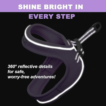Cat Harness and Leash Set,Escape Proof Kitten Harness,Step in Adjustable Soft Lightweight,Easy Control,Reflective Strips Comfortable for Walking Travel(Violet Purple,XXS)