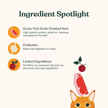 Made by Nacho Bone Broth Cat Food Topper for Hydration and Picky Eaters - Add Protein and Flavor to Your Dry Cat Food – Supports Optimal Nutrition, Digestion, Skin & Coat, 11 oz. (Pack of 4), Beef