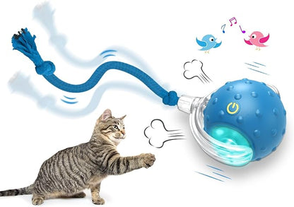 Interactive Cat Toys Ball for Indoor Cats Fast Rolling on Carpet, Chirping & Motion Activate Cat Toys (Blue)
