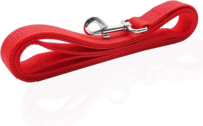 Nylon Dog Leash 8 Feet Long, Walking Training Dog Leashes for Medium Large Dogs(1" X 8 ft, Red)