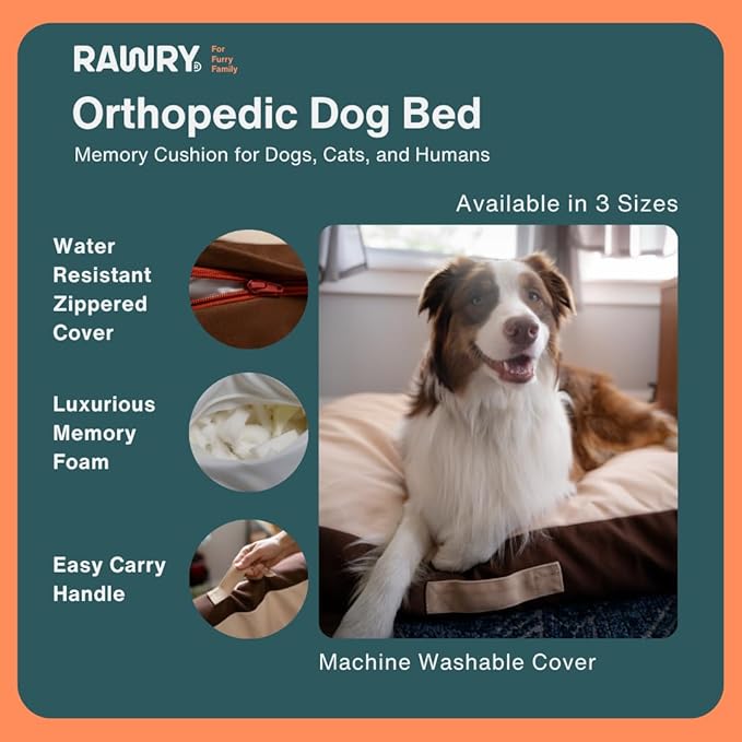 Rawry Orthopedic Dog Bed | Memory Foam Dog Bed with Handle | Water-Resistant, Machine Washable Cover | Floor Cushion for Cats, Dogs & People - Tan/Brown (Small - 24" x 18")