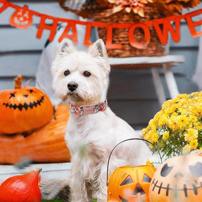 Unique style paws Thanksgiving Dog Collar Metal Buckle Collar for Autumn Winter Christmas for Small Medium Large Boys Girls Dogs