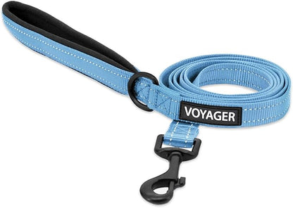 Best Pet Supplies Voyager Reflective Dog Leash or Collar with Neoprene Handle, for Small, Medium, and Large Breed Puppies, Cute and Heavy Duty for Walking, Running and Training - Baby Blue Leash, L