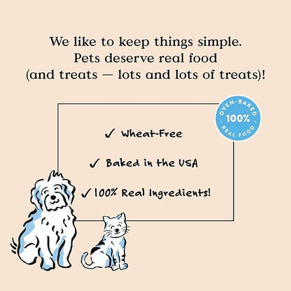 Bocce's Bakery Oven Baked Salmon Recipe Treats for Dogs, Wheat-Free Everyday Dog Treats, Made with Real Ingredients, Baked in The USA, All-Natural Soft & Chewy Cookies, Salmon, 6 oz