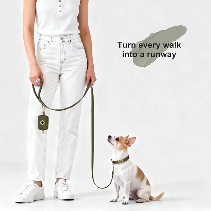 Didog Stylish PU Leather Dog Leash for Small Dogs, Easy to Clean 5ft Small Dog Leash with Metal Tangle-Free Clip, Fashionable and Elegant for Walking, Running and Training,Dark Green, S