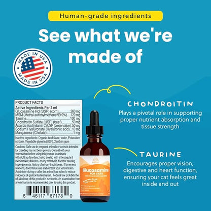 Liquid Glucosamine Chondroitin MSM for Cats, Hip & Joint Support Supplement, Helps Maintain Mobility and Flexibility, Senior Cat Glucosamine Drops for Daily Joint Care, 2oz