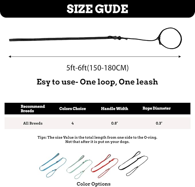 EVERKING Dog Slip Lead Dog Training Leash, No-Pull Slip Leash and Collar,Nylon Material Heavy-Duty and Durable,with Comfortable Padded Handle,Suitable for All Dogs (Black(4.9-5.9FT-Metal Buckle))