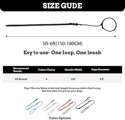 EVERKING Dog Slip Lead Dog Training Leash, No-Pull Slip Leash and Collar,Nylon Material Heavy-Duty and Durable,with Comfortable Padded Handle,Suitable for All Dogs (Black(4.9-5.9FT-Metal Buckle))