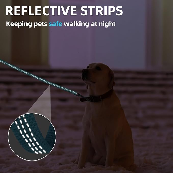 PUPTECK Reflective Dog Leash with Comfortable Padded Handle Durable Nylon Dog Lead for Small Medium and Large Dogs Cats Walking Running Training Outside, Teal, M