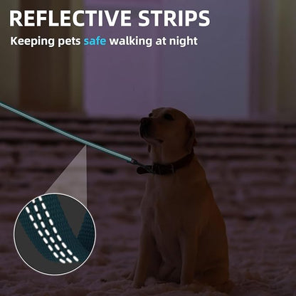 PUPTECK Reflective Dog Leash with Comfortable Padded Handle Durable Nylon Dog Lead for Small Medium and Large Dogs Cats Walking Running Training Outside, Teal, M