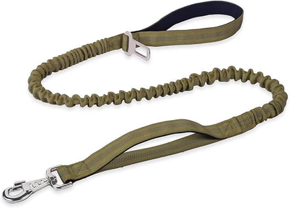 BUMBIN 6Ft Dog Leash, Bungee Dog Leash with 2 Handles, Heavy Duty Leashes for Medium Small Dogs, No Pull Shock Absorbing with Car Seat Belt for Training, Green