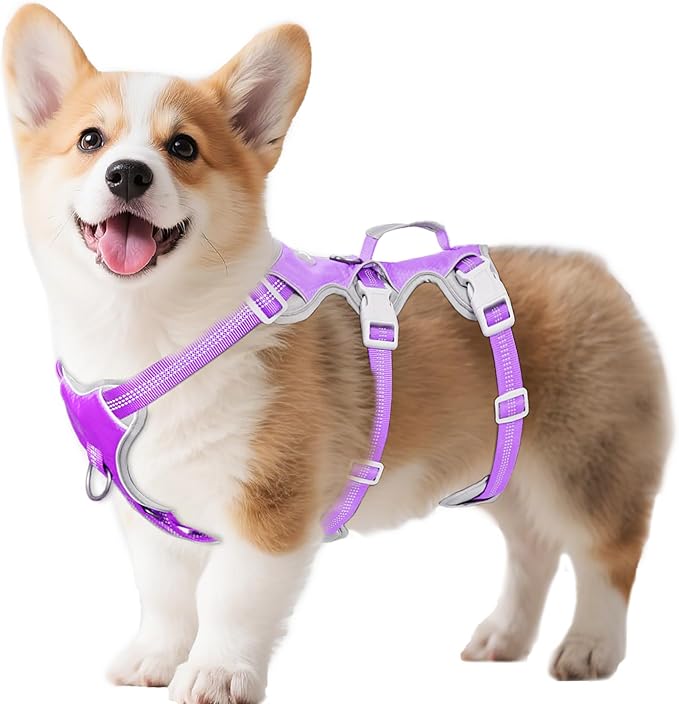 Huntboo Escape Proof Dog Harness, Escape Artist Harness, Reflective Harness with Padded Handle, Breathable, Adjustable Vest for Medium Dogs Walking, Training, and Running Gear（Lavender Purple, S