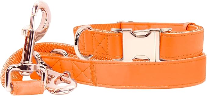 Soft Leather Dog Collar and Leash (6.6') Set - Stylish Rose Gold Heavy Duty Metal Buckle, 4 Adjustable Lengths Leash for Small Medium Large Dogs - Comfortable & Easy to Clean Orange M(13.8"-19.7")
