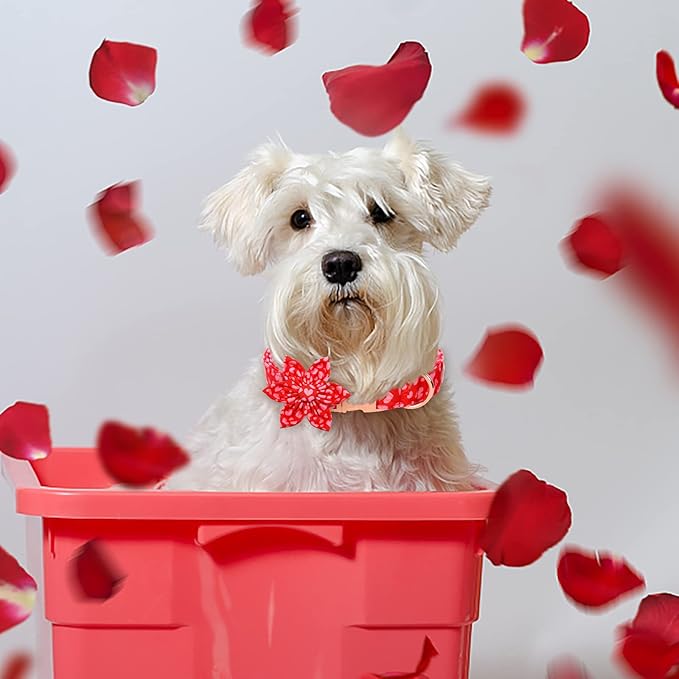 Valentine's Day Dog Collar with Flower Tie, Pink Red Love Male Dog Collar with Safety Metal Buckle Adjustable Puppy Collars for Small Medium Large Boy & Girl Dog,M-Neck 13.5"-22"