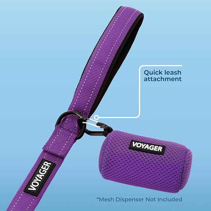 Best Pet Supplies Voyager Reflective Dog Leash or Collar with Neoprene Handle, for Small, Medium, and Large Breed Puppies, Cute and Heavy Duty for Walking, Running and Training - Purple (Leash), L