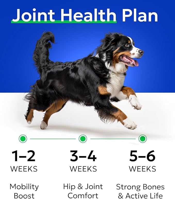Bark&Spark Glucosamine Chondroitin Dog Hip & Joint Supplement - Joint Pain Relief - Hip & Joint Chews - Joint Support Large Small Breed - Senior Doggie Vitamin Pill Joint Health (180 Treats - Chicken)