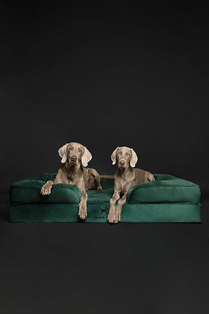 NOAH & PAW Giant Dog Bed XXL, 55x45x11 Inch, Orthopedic Dog Beds, Eggshell Memory Foam Infused with Cooling Gel, Inner Cover, Waterproof, Machine Washable (Velvet Sofa Collection)