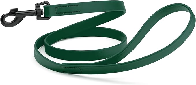 Dogline Biothane Waterproof Dog Leash Strong Coated Nylon Webbing with Black Hardware Odor-Proof Easy to Clean High Performance for Small or Large Dogs Made in USA 4 or 6 ft Lead, Hunter Green