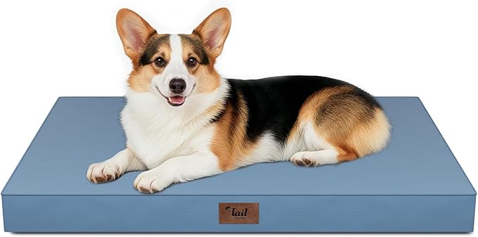 Tail Stories Large Outdoor All Weather Dog Bed, Waterproof Pet Bed for Large Dogs, Orthopedic Egg Crate Foam with Washable Removable Oxford Cooling Cover, 36x27 Inch, Blue
