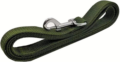 TAIAN 4FT/5FT/6FT Strong Dog Leash, Nylon Dog Leashes for Small Medium Large Dogs (Green, 1 in x 15 ft)
