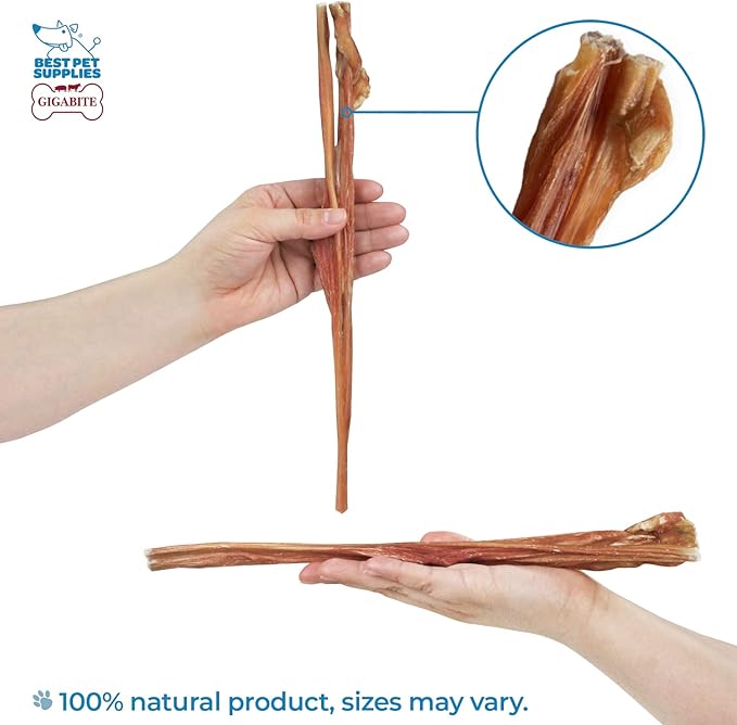 GigaBite Single Ingredient All Natural Free Range Bully Treats and Chews - Bully Sticks/Bladder Sticks/Beef Esophagus by Best Pet Supplies - Bladder Sticks (12 Inch), Pack of 10