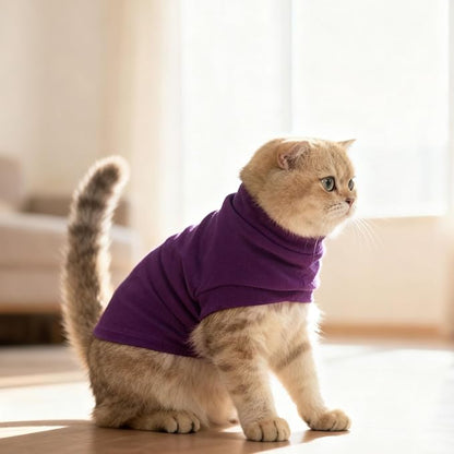 EXPAWLORER Soft Cat Sweater - Sweaters for Cats Only Warm Kitten Clothes, Fall and Winter Pet Coat Pullover Design, Fleece Sweatshirt Clothing Also for Puppy Small Dogs, Purple S