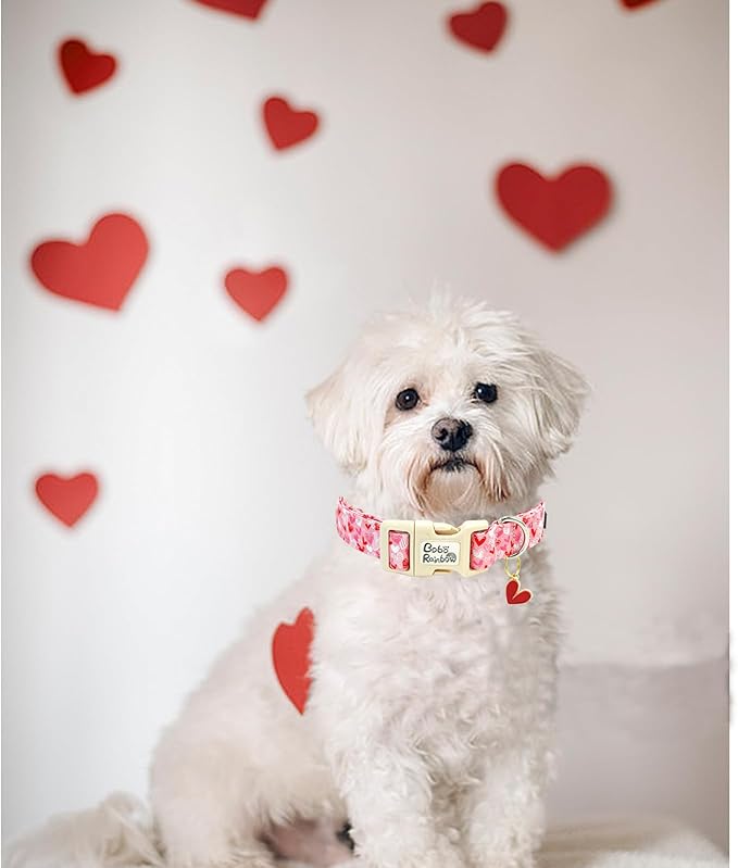 Valentine's Day Dog Collar-Love Heart Adjustable Pet Collars Soft Comfortable Cotton Holiday Puppy Collar Cute Necklace Gift for X-Small Dogs