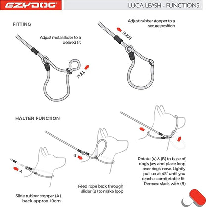 EzyDog Luca Slip Lead Dual Function Heavy Duty Rope Leash for Dogs That Pull Slip Leash & Gentle Lead Head Halter, Small (5.5ft x .23', Blue)