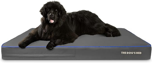 The Dog’s Bed Orthopedic Memory Foam Dog Bed, XXXL Grey/Blue, Pain Relief for Arthritis, Hip & Elbow Dysplasia, Post Surgery, Lameness, Supportive, Calming, Washable Cover, Veterinary Approved