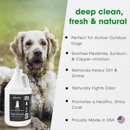 Shiny Paw Natural Deep Cleaning Organic Dog Shampoo 128 oz | Dog Itching Skin Relief with Evergreen, Aloe & Rosemary | Natural Dog Shampoo for Smelly Dogs