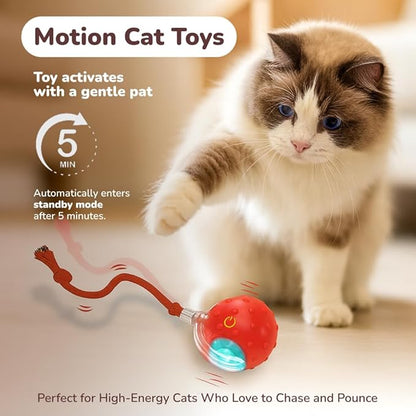 Outdoll Interactive Cat Toy Ball for Indoor Cats – Fast Rolling on Carpet, Motion Activated with Chirping Sounds, Smart Play Toy (Crimson)