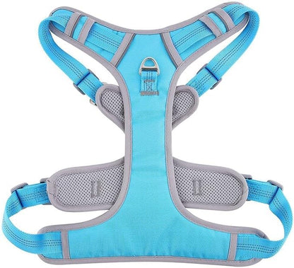 Paawpal Adjustable Dog Harness - No Pull, Reflective, Soft Padded for Small, Medium, Large Dogs - Includes Leash Turquoise M