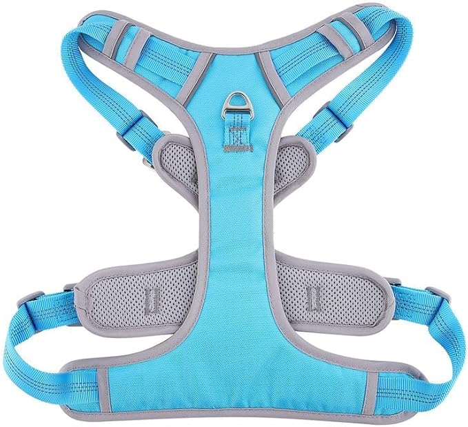 Paawpal Adjustable Dog Harness - No Pull, Reflective, Soft Padded for Small, Medium, Large Dogs - Includes Leash and Collar Turquoise XS