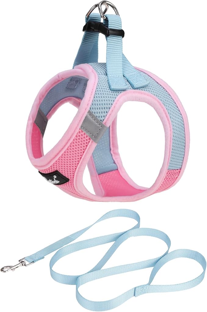 PUPTECK Dog Harness and Leash Set for Small Medium Dogs No Pull Step-in Soft Mesh Puppy Cat Vest Harnesses Reflective at Night, Pink & Blue, M