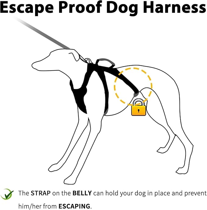 Huntboo Escape Proof Dog Harness, Escape Artist Harness, Reflective Harness with Padded Handle, Breathable, Durable, Adjustable Vest for Medium Dogs Walking, Training, and Running Gear (Black,XL)