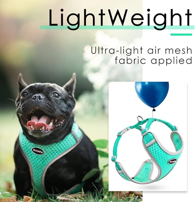 ThinkPet Reflective Breathable Soft Air Mesh No Pull Puppy Choke Free Over Head Vest Harness for Puppy Small Medium Dogs and Cats Teal Medium