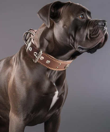 Leather Dog Collar, 2 inches Wide Heavy Duty Genuine Leather Collars, Handmade, Soft, and Luxury, Eye-catching Best Choice for Large and Medium Breed Dogs 21-25 inches