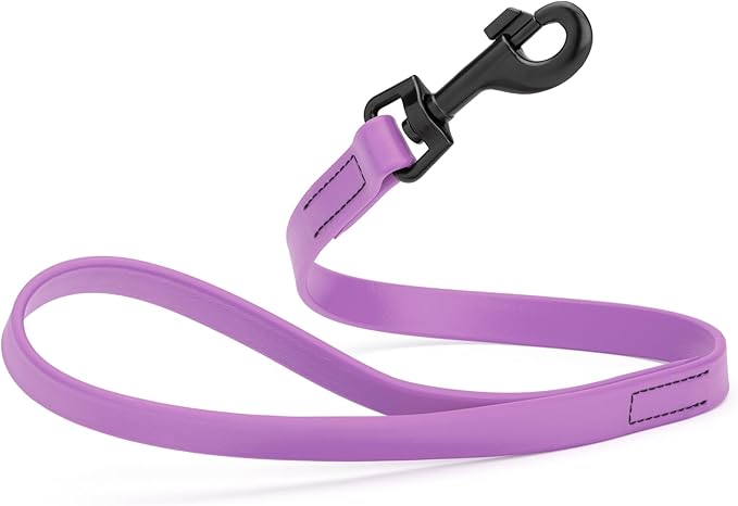 Dogline Biothane Waterproof Dog Leash Strong Coated Nylon Webbing with Black Hardware Odor-Proof Easy to Clean High Performance for Small or Large Dogs Made in USA 2 ft Lead, Amethyst Purple