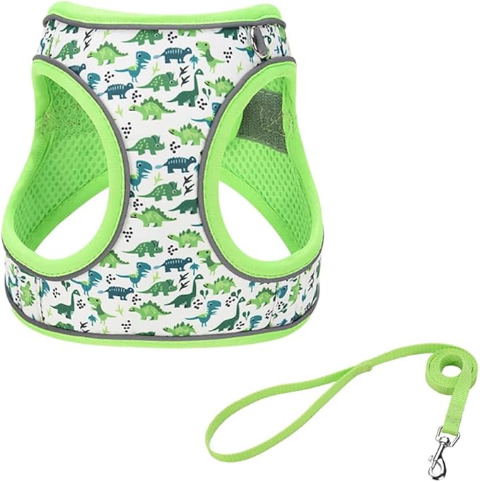 Step in Dog Harness and Leash Set, Flower Adjustable Easy Walk Puppy Harnesses, Soft Mesh Pet Vest Harness Small Size Dog Adjustable No Pull Dog Harness for Small Medium Dogs(Dinosaur1, S)